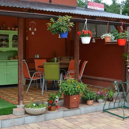 Guest house Aura *