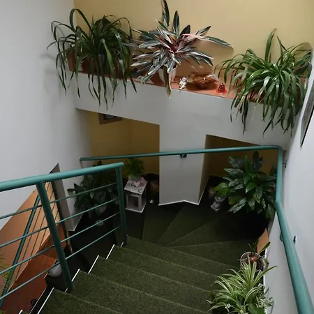 Aura Guest house