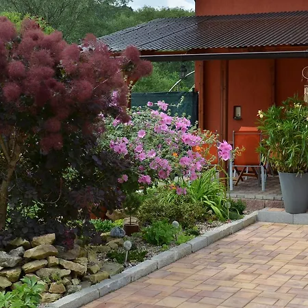 Guest house Aura *